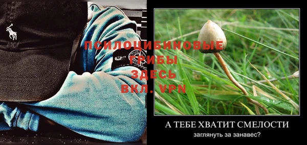 a pvp Абдулино
