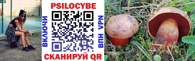 Псилоцибиновые грибы ЛСД  shop телеграм  Калач 